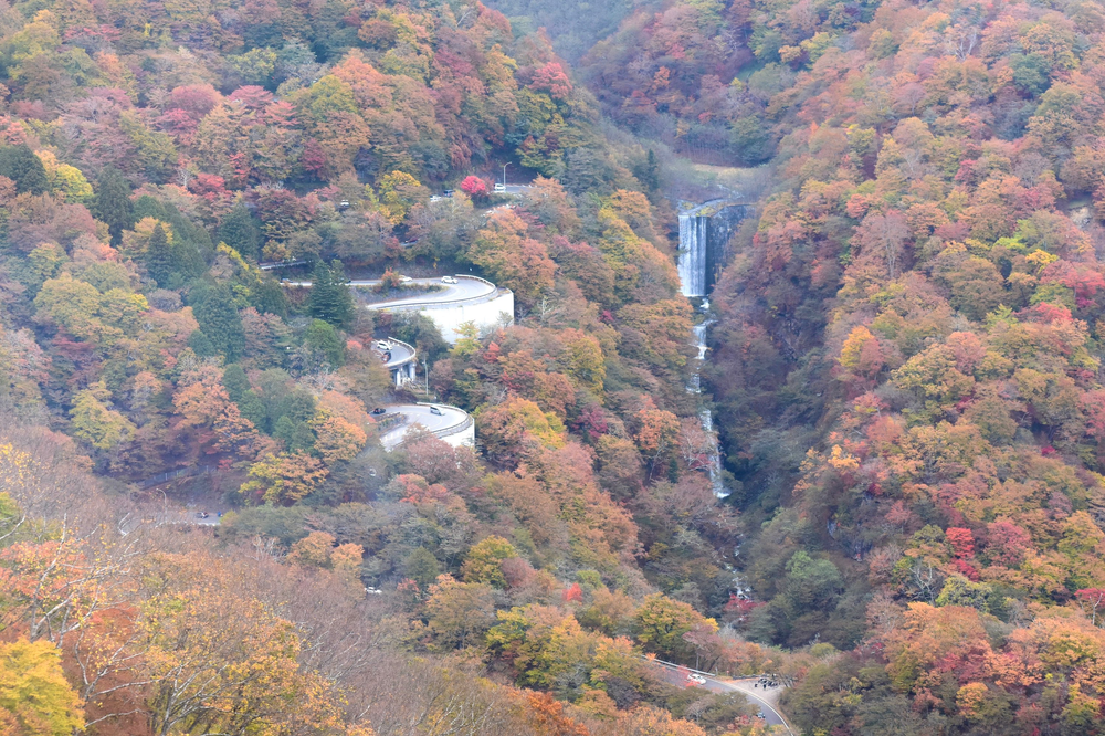 Autumn in NIKKO